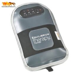 Gant de massage Equilibrium
