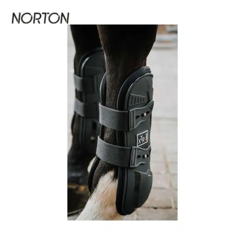 Guêtres NORTON XTR Flex à clips protège tendons cheval 530676 Sellerie Equinoxe Shop Fuveau