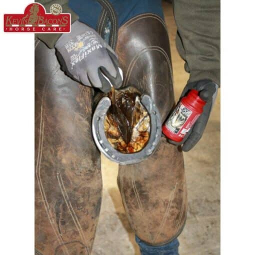 HOOF SOLUTION KEVIN BACON'S Sellerie Equinoxe