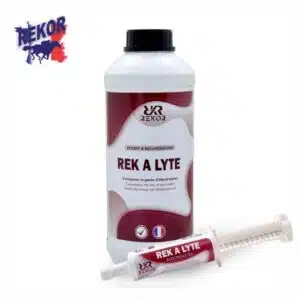 REK A LYTE REKOR électrolytes pour chevaux Sellerie Equinoxe Shop Fuveau