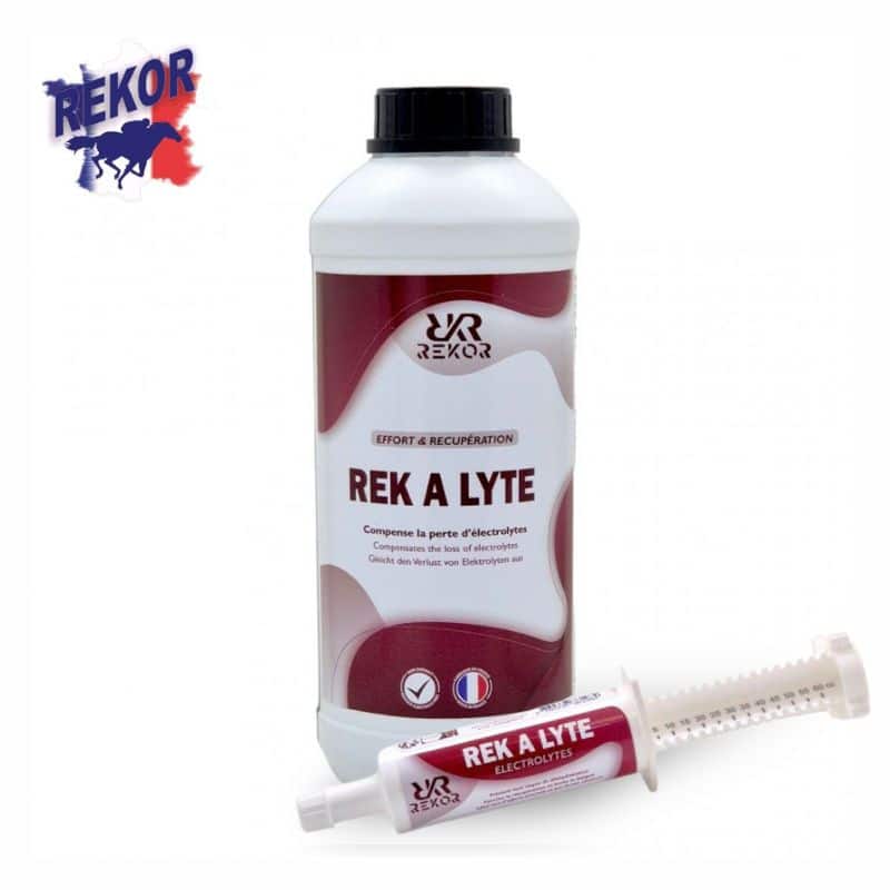 REK A LYTE REKOR électrolytes pour chevaux Sellerie Equinoxe Shop Fuveau