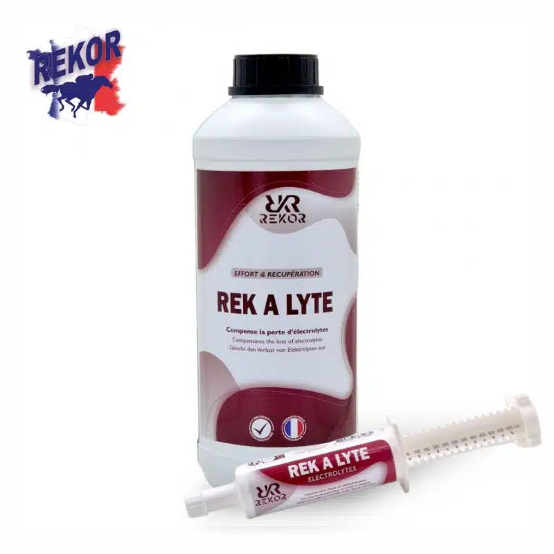 REK A LYTE REKOR électrolytes pour chevaux Sellerie Equinoxe Shop Fuveau