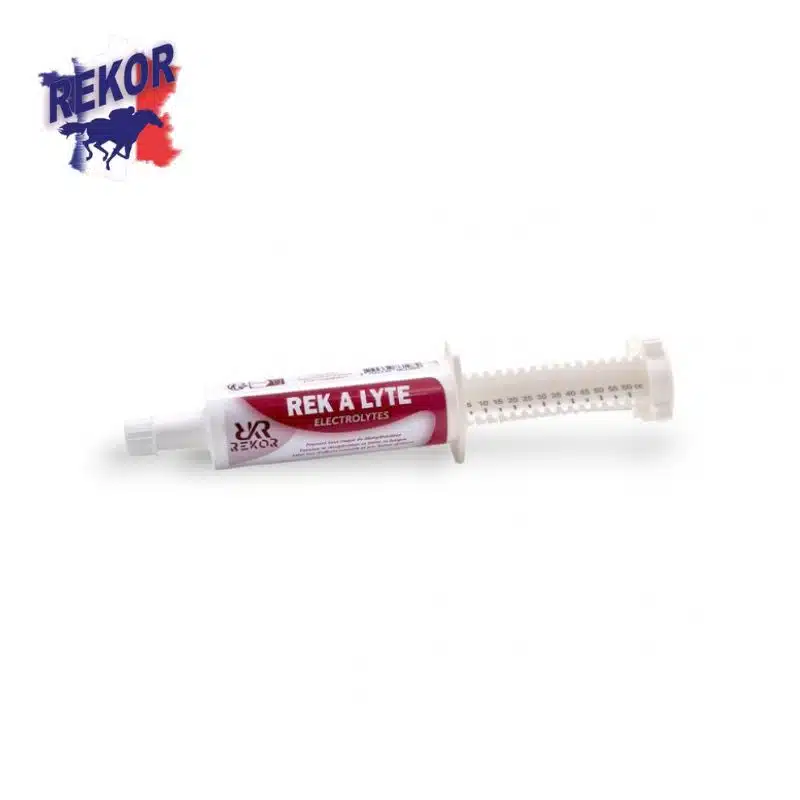 REK A LYTE REKOR électrolytes seringue pour chevaux Sellerie Equinoxe Shop Fuveau
