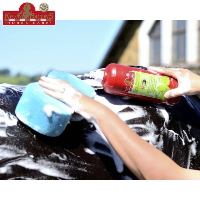 Shampoing Lucy diamond Green 1L KEVIN BACON'S Sellerie Equinoxe