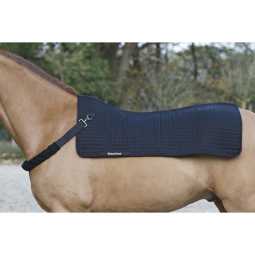 Collier pour chauffe dos cheval back warmer Back on Track sellerie Equinoxe
