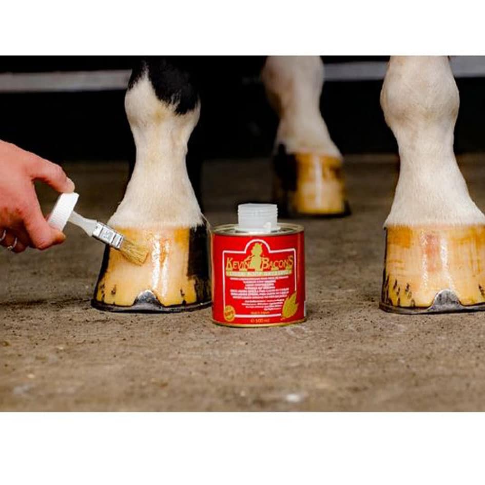 Huile pour sabot Kevin bacon sellerie équinoxe