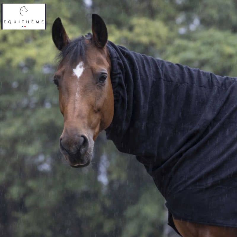 Couvre cou Polaire noir cheval EQUITHÈME 400402 Sellerie Equinoxe Shop Fuveau