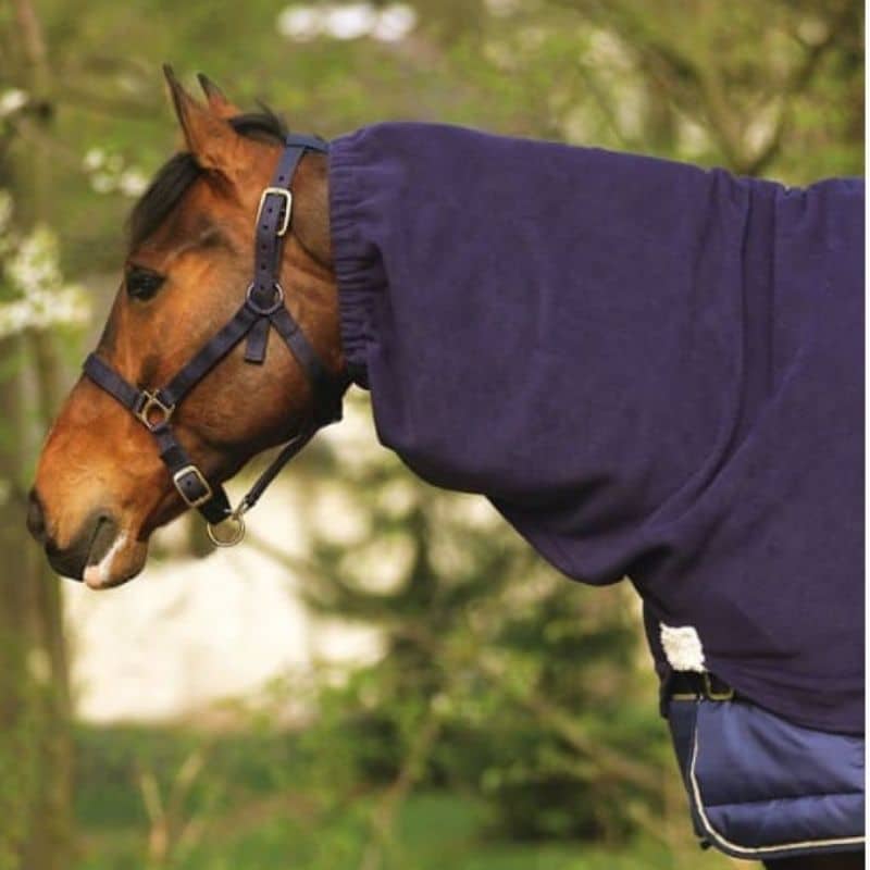 Choisissez le meilleur couvre-cou pour votre cheval !