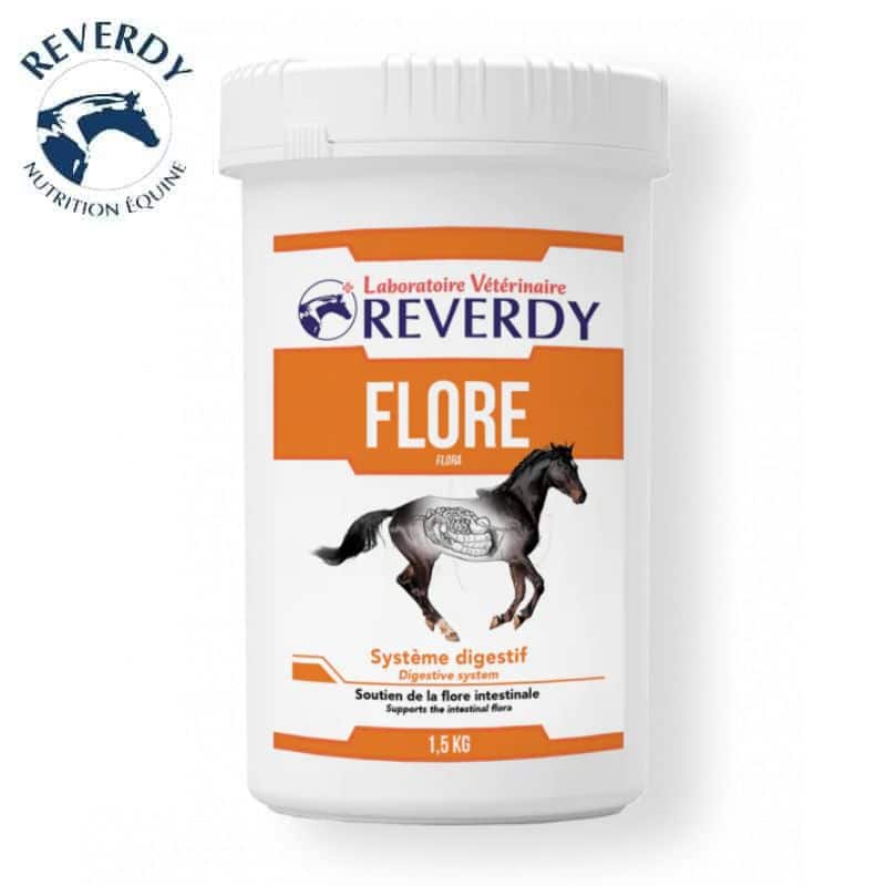 Flore Reverdy