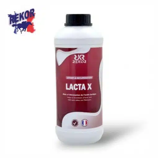 Lacta X REKOR anti-courbature et coup de sang pour chevaux Sellerie Equinoxe Shop Fuveau