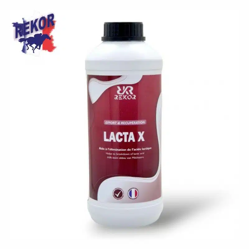 Lacta X REKOR anti-courbature et coup de sang pour chevaux Sellerie Equinoxe Shop Fuveau