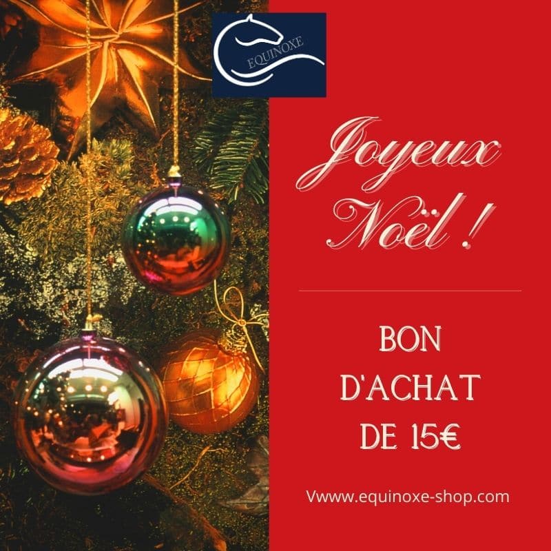 Carte Cadeau ie En Cadeau De Noël Photo éditorial - Image du achat,  étiquette: 160020356