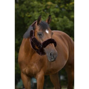 set-pour-licol-equitheme-teddy (2)