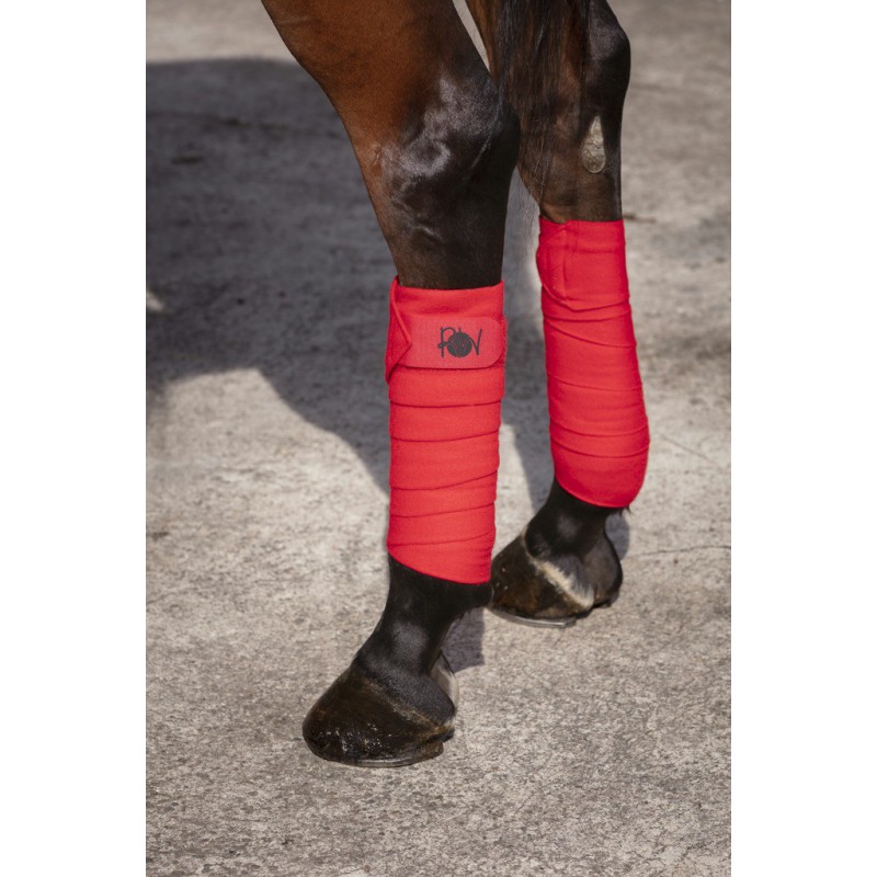 bandes-de-polo-double-face-riding-world (9)