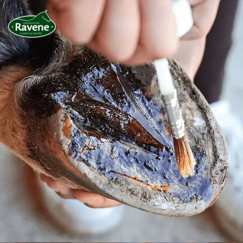 pediflex-ravene-huile-nourrissante-hydratante-pieds-sabots-cheval.webp