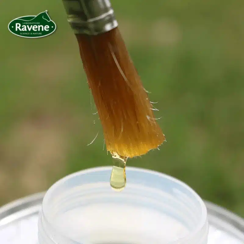 pediflex-ravene-huile-sabots-cheval.webp