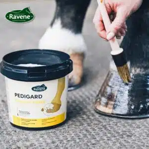 pedigard-onguent-blond-ravene-graisse-sabot-cheval.webp