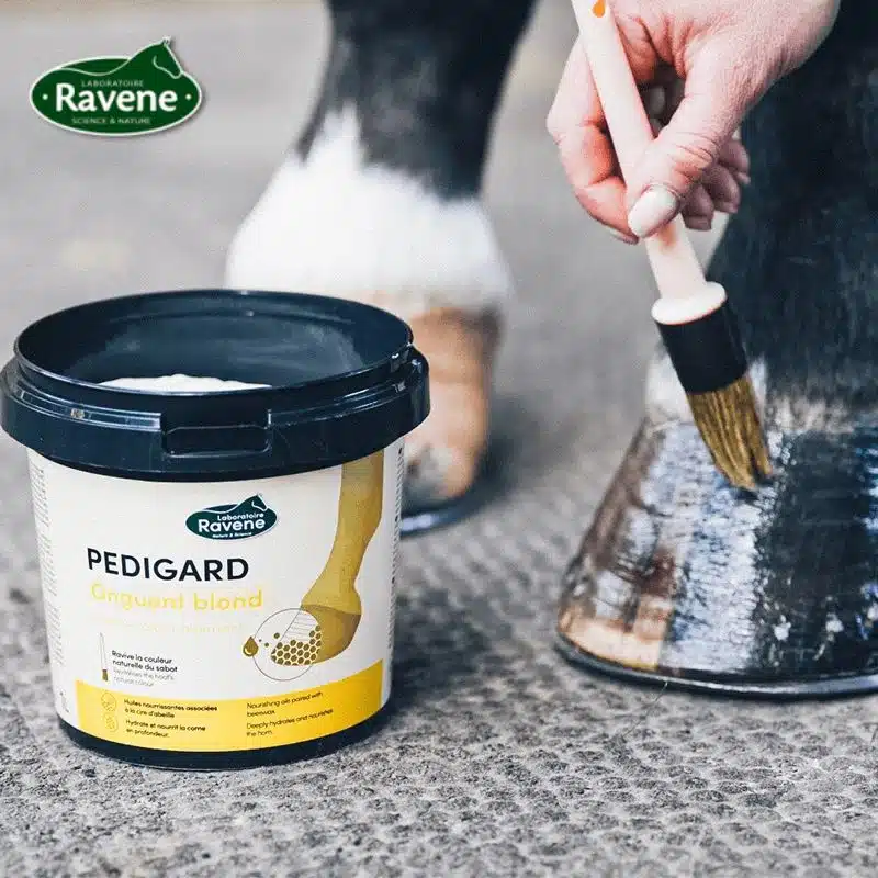 pedigard-onguent-blond-ravene-graisse-sabot-cheval.webp