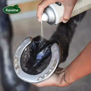 spray-pedicade-ravene-soin-fourchette-cheval-ferré-webp