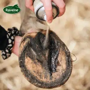 spray-pedicade-ravene-soin-fourchette-cheval-pieds-nus.webp