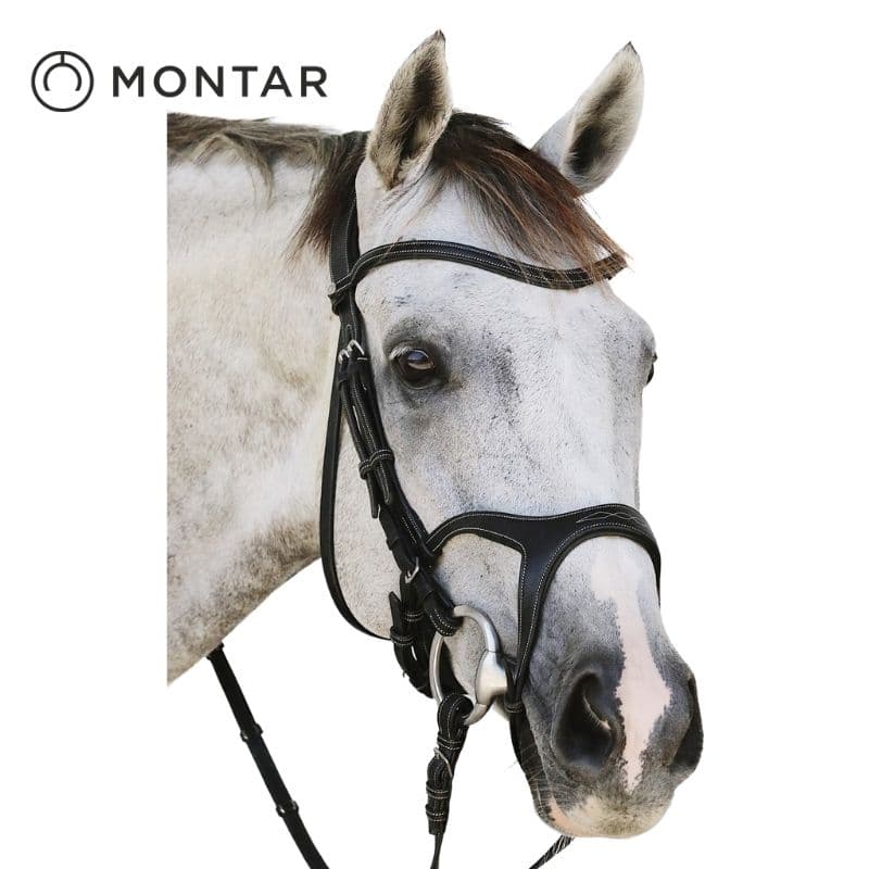 Bridon Anatomique Pour Cheval Horze Clermont - Noir - Cuir Véritable - Frontal Strass - Taille F