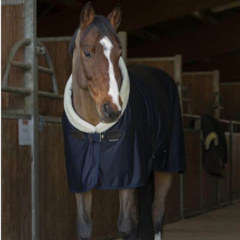 chemise séchante teddy marine Equithème pour cheval Sellerie Equinoxe Shop Fuveau