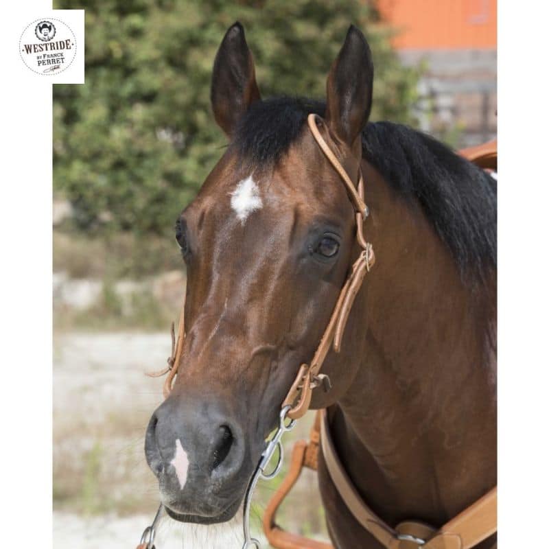 Bridon 1 oreille WESTRIDE by Franck Perret Sellerie Equinoxe Shop Fuveau