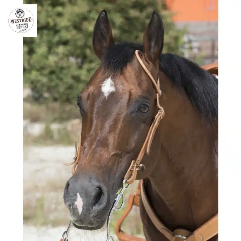 Bridon 1 oreille WESTRIDE by Franck Perret Sellerie Equinoxe Shop Fuveau