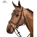 EQUILINE-BRIDON-A-COMPOSER