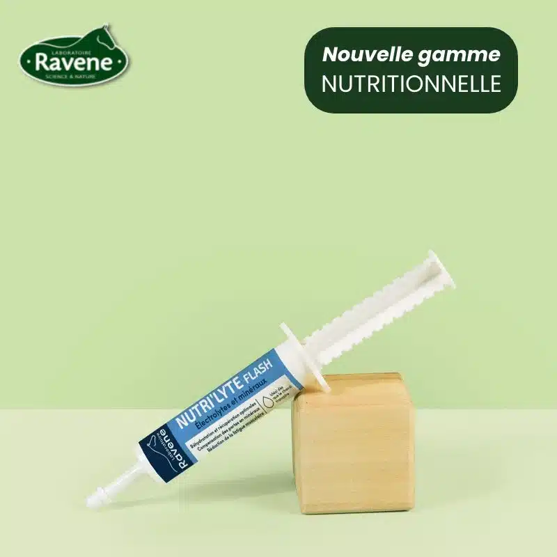 nutri-lyte-flash-ravene-seringue-electrolytes-cheval.webp Nutri'Lyte Flash Ravene seringue d'électrolytes pour cheval