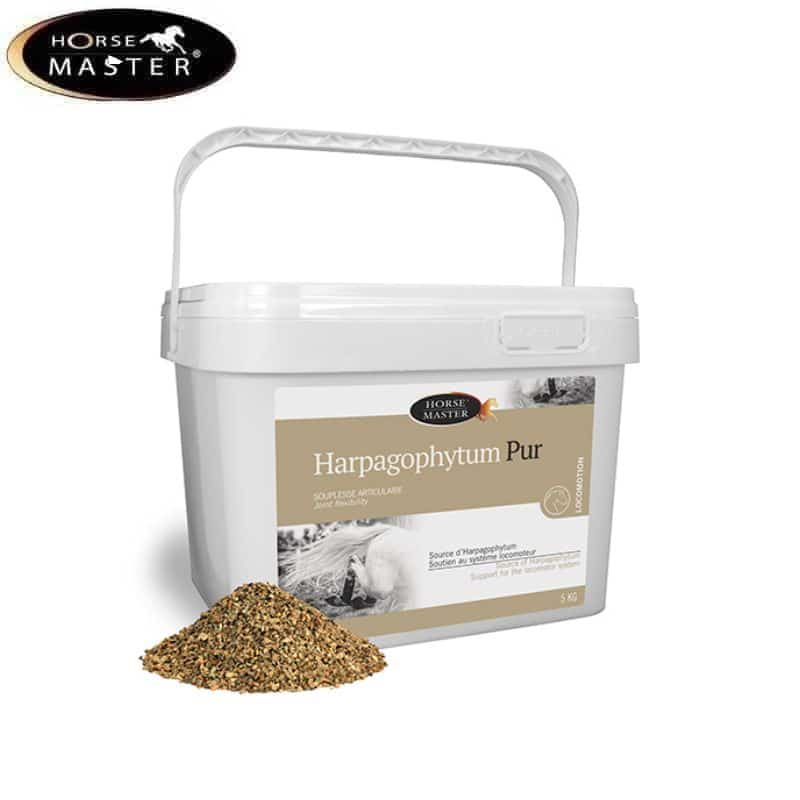 HARPAGOPHYTUM PUR Souplesse articulaire cheval HORSE MASTER 011080510 011080550 SELLERIE EQUINOXE SHOP FUVEAU