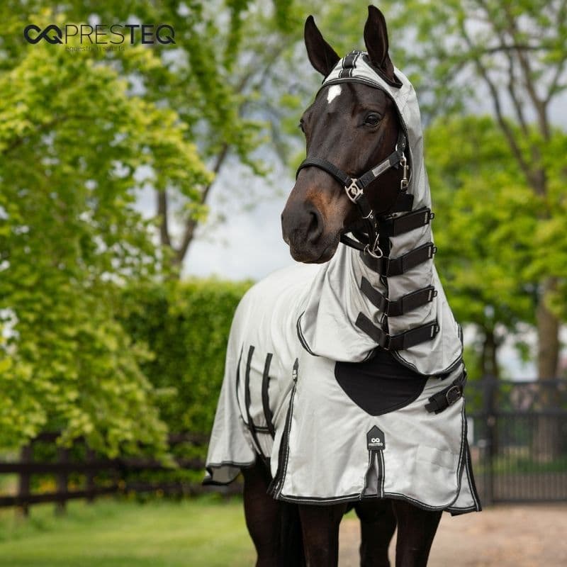 PresTeq chemise-anti-mouches AmbitionFirst équinoxe-shop