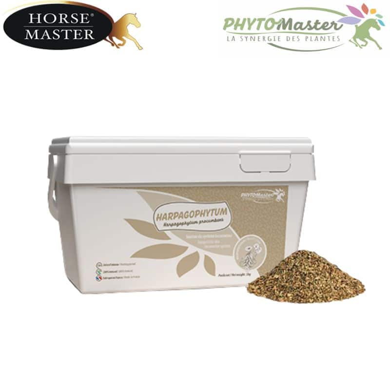 HARPAGOPHYTUM PUR cheval Phytomaster Morse Master