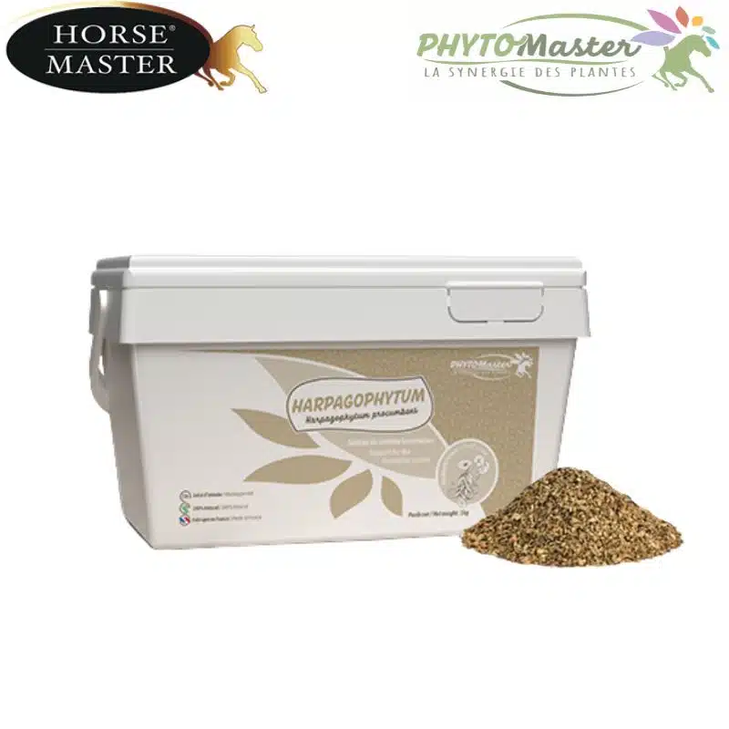 HARPAGOPHYTUM PUR cheval Phytomaster Morse Master