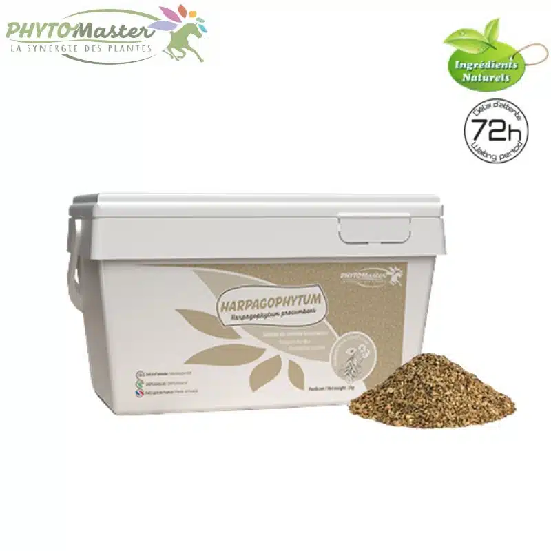 PHYTOMASTER – HARPAGOPHYTUM PUR – Souplesse articulaire du cheval – Image 2