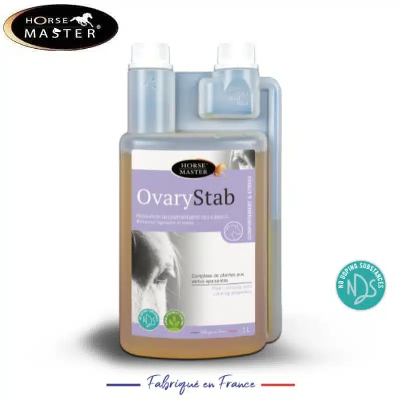 ovary stab HORSE MASTER 0120504 SELLERIE EQUINOXE SHOP FUVEAU