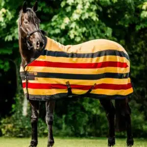 Chemise Séchante Polaire Newmarket Horseware Gold Sellerie Equinoxe Shop Chemise Séchante Polaire Newmarket Horseware Gold Sellerie Equinoxe Shop