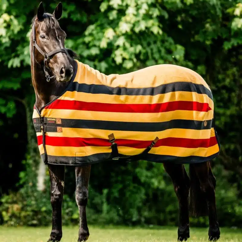 Chemise Séchante Polaire Newmarket Horseware Gold Sellerie Equinoxe Shop