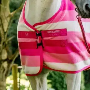 Chemise Séchante Polaire Newmarket Horseware Rose Sellerie Equinoxe Chemise Séchante Polaire Newmarket Horseware Rose Sellerie Equinoxe