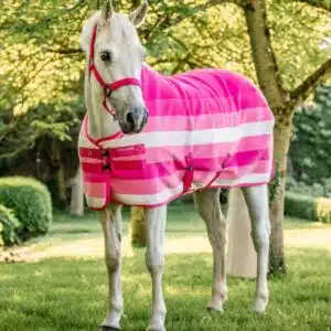 Chemise Séchante Polaire Newmarket Horseware Rose Sellerie Equinoxe Shop Chemise Séchante Polaire Newmarket Horseware Rose Sellerie Equinoxe Shop