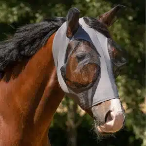 masuqe-anti-mouches-prevention-tranquilité-cheval.webp Cheval avec chemise anti-mouches pour prévenir des infections