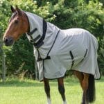 equiline-couverture-mouches
