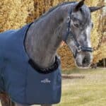 EQUILINE-protege-epaules