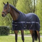 EQUILINE-stabble rug