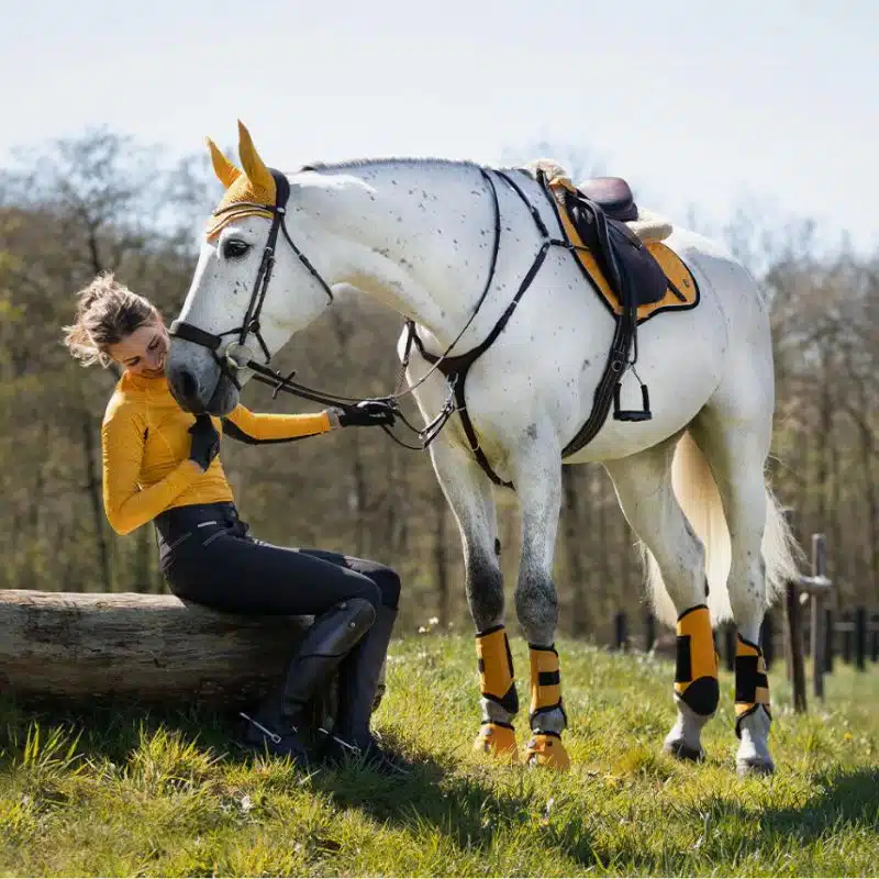 Ensemble Q-Cross QHP Sellerie Equinoxe Shop Fuveau Ensemble Q-Cross QHP Sellerie Equinoxe Shop Fuveau