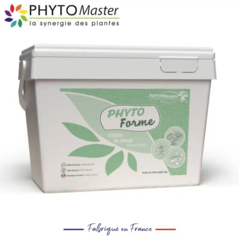 PHYTO FORM vitalité et bon état général du cheval 151160101B PHYTO MASTER SELLERIE EQUINOXE SHOP FUVEAU