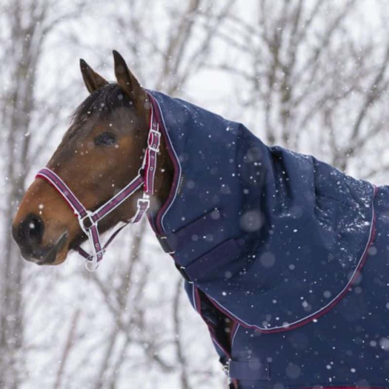 Couvre-cou polaire ☃️ - K Equestrian 🧣