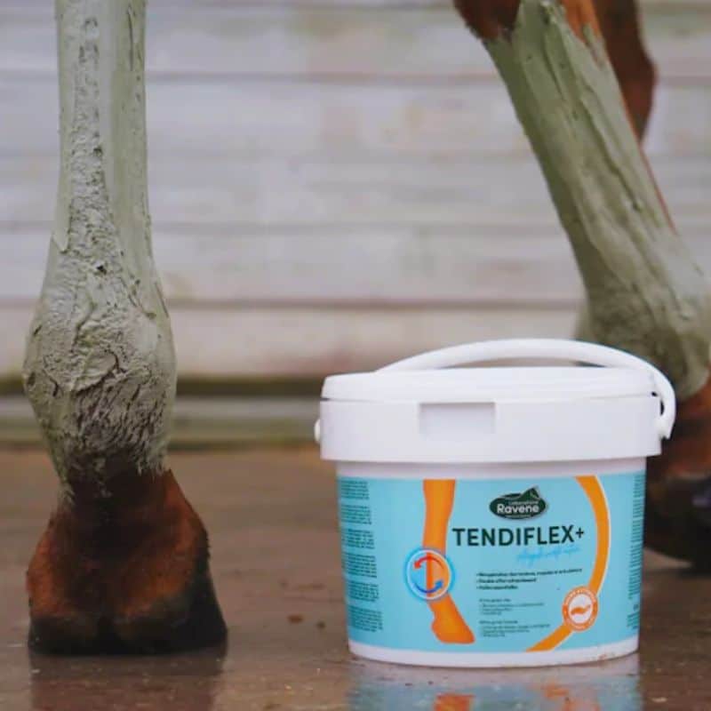 ravene-tendiflex-+ (4)