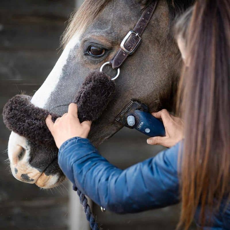 WAHL ECLIPSE TONDEUSE SANS FIL POUR PONEY SELLERIE EQUINOXE-SHOP FUVEAU