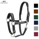 EQUILINE licol Timmy cheval cob poney EQUILINE licol Timmy cheval cob poney Sellerie Equinoxe